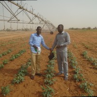 Iliasso Aboubacar
