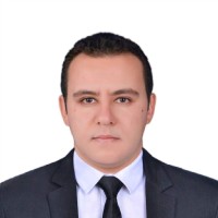 Amr Fathi