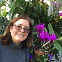Laura Johnson Collard