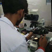 Devashish Verma