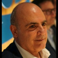 Daniele Bergamaschi
