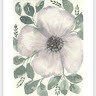 The Flower