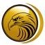 eagle electronics