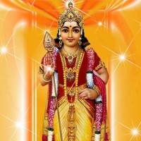 Kamal J
