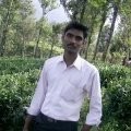 Jamsheer cv