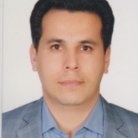 Hadi Davari