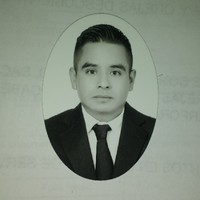 Juan Francisco Flores Garcia
