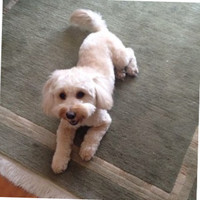 LIC.Daniel Aisemberg