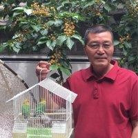 杨向宏