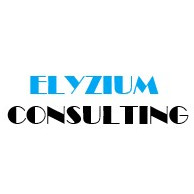 Elyzium Consulting