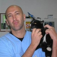 marko radicevic