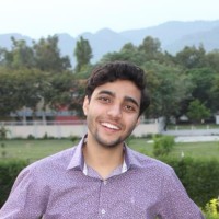 Taha A. Naqvi