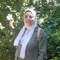DALIA elsaid