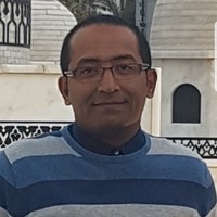 Ahmed Metwally