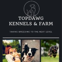 Topdawg Farms And Kennels