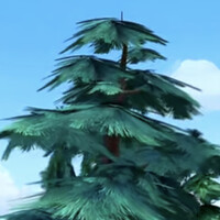 徐顺顺