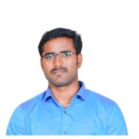 Bharathiraja P