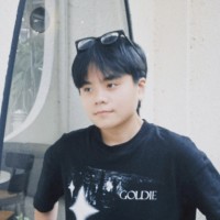 Phuong Trang Dinh