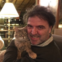 Mehmet İYİGÜNGÖR