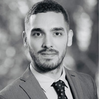 Bogdan Nitulescu