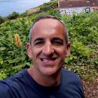 Joe Defreitas