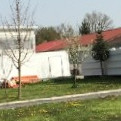 Dragutin Bermanec