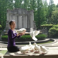 HaiYing Yao