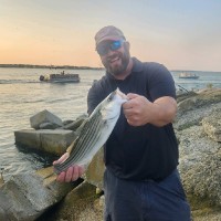 Chris Dinardo