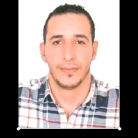Adel Hamid