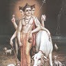 vijay pachpande