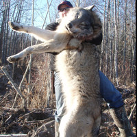 Quinton Strebchuk