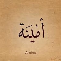 Dr. Amina Abdelhamid