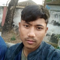 Nil Roy