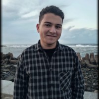 Mohamed Waleed