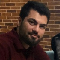 Mehrdad Rafiee