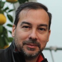 Ron Gianadda