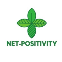 Adam Net-Positivity