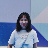 Peijin Li