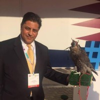 Sherif A. Badawi