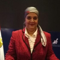 Hoda Elsayed