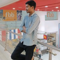 Vignesh P
