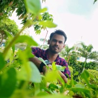 Rameshwar Meena