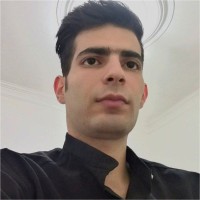 Ali Mahdi Asl
