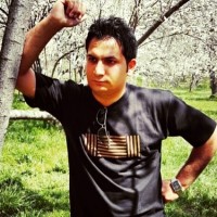 Amir Beheshtifam