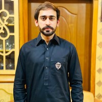 Hassan Malik