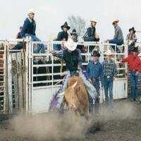 Brad Dewoody