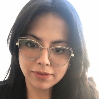 Karen Paola Rebolledo Millaqueo