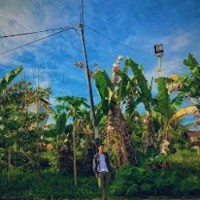 Muhammad Fajar Aulia