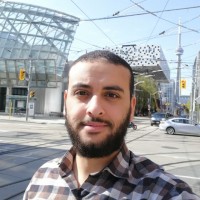 Mohamed Ashraf Hafez