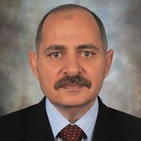 Hesham Shawki
